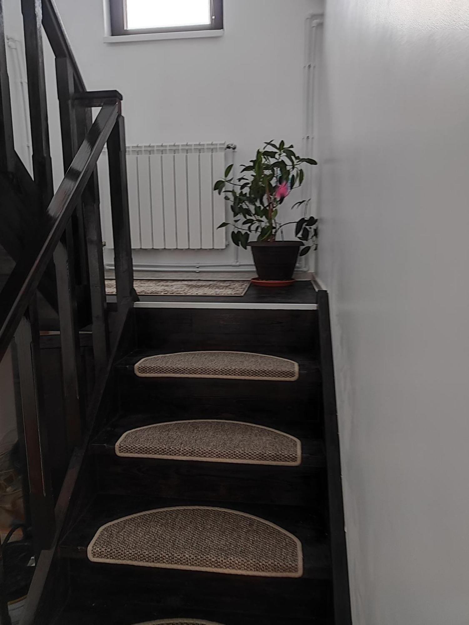 Neagra Sarului Vila Raisa מראה חיצוני תמונה